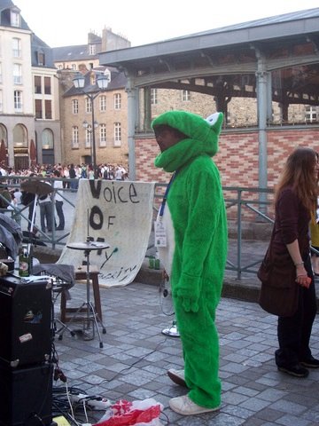 un type déguisé en grenouille lors de la Fête de la Musique à Rennes