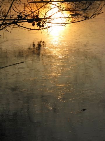 reflet du soleil levant sur la glace de la Vilaine